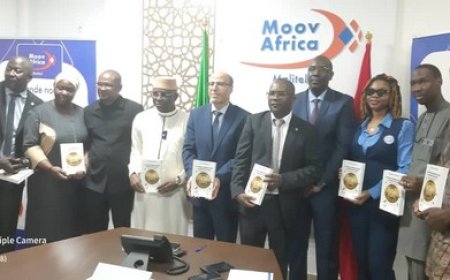 Dans les bibliothèques : « Le Système Financier Malien à l’Épreuve des Crises »