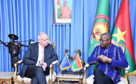 Résolution du Parlement européen sur le Burkina Faso : Le gouvernement exprime «son dégoût »