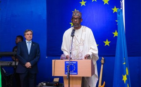 Le ministre Abdoulaye Diop lors de la célébration de la journée de l’Europe : "L'un des ponts les plus solides entre le Mali et l'Europe demeure l'apport constructif de nos communautés établies dans nos espaces respectifs"