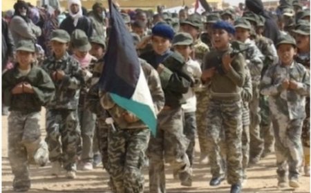 Collusion entre le Front Polisario et le terrorisme au Sahel