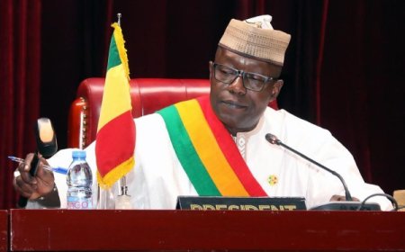 Conditions de destitution du président du Cesec : Le CNT donne son quitus