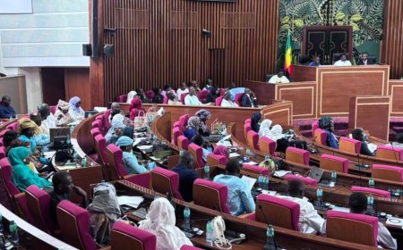 Le Parlement du Sénégal adopte un projet de révision constitutionnelle