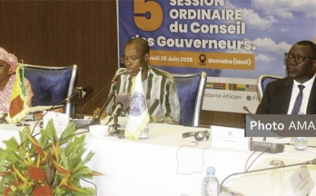 Financement du développement : Les belles performances du fonds de solidarité africain