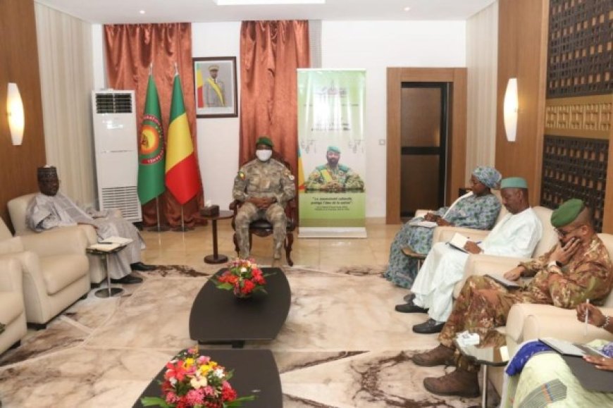Mali : Le Chef de l’Etat échange avec le secrétaire exécutif de l’Agence panafricaine de la Grande Muraille Verte