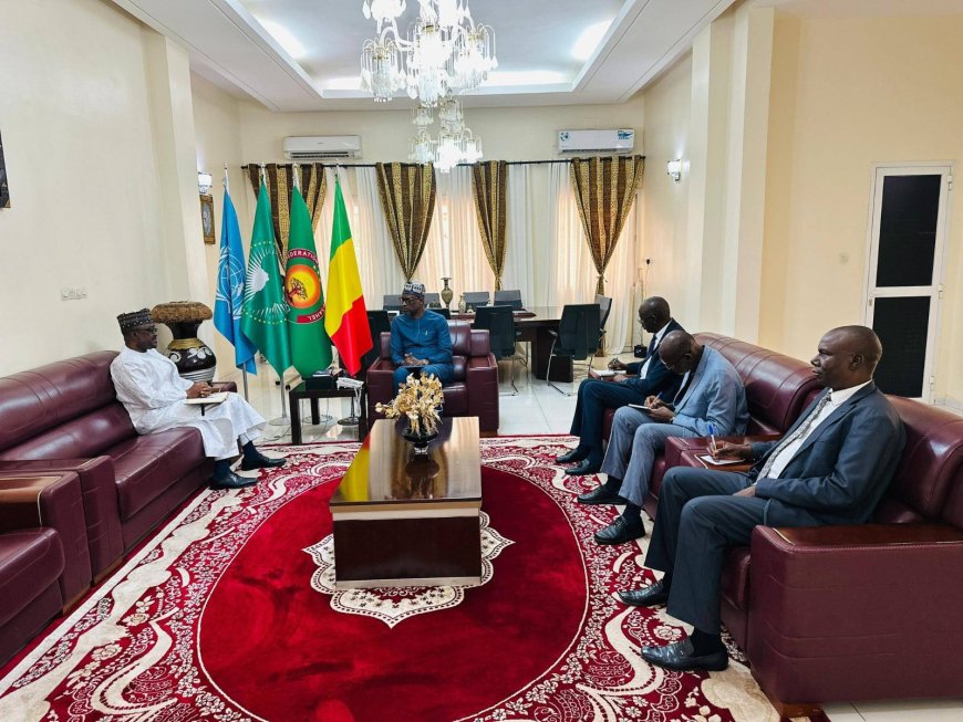 Grande Muraille Verte : Abdoulaye Diop et l’APGMV misent sur les réformes et le financement pour accélérer l’initiative