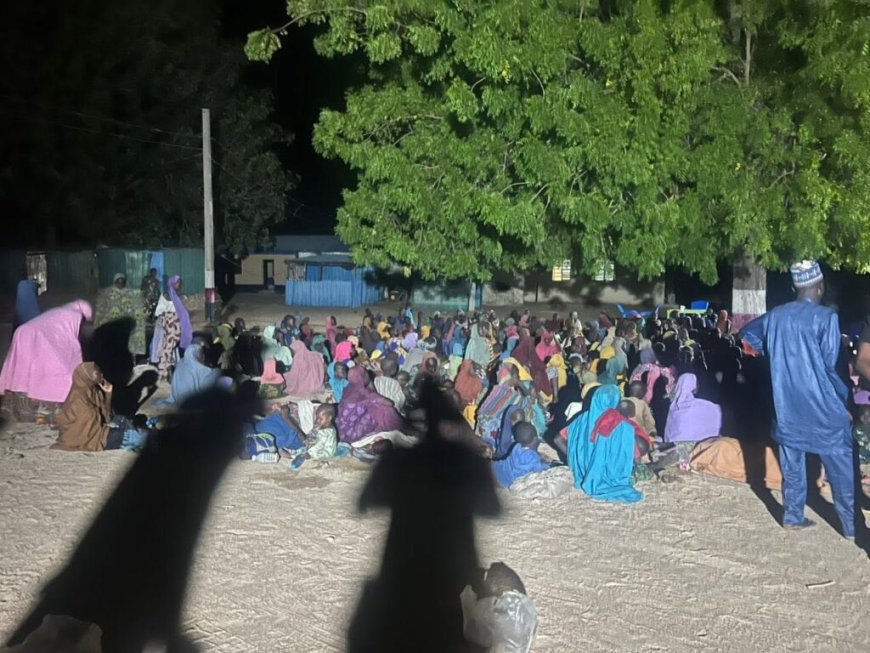 Nigéria : 360 otages libérés à Borno (armée)