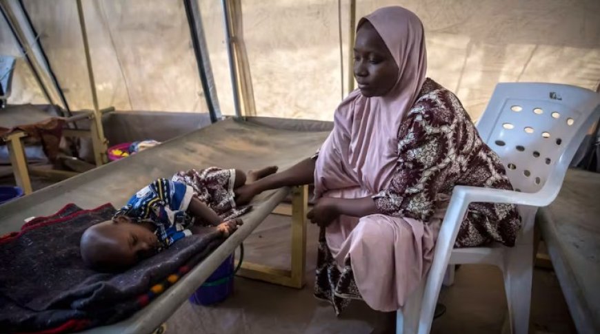 Nigeria : mesures sanitaires à cause d'une épidémie de choléra dans le Nord-Est