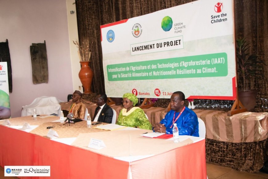 Sécurité alimentaire : le Mali lance un ambitieux projet agricole et agroforestier résilient au climat