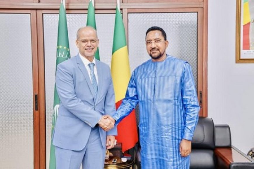 Forum international de la diaspora (fid) du 16 au 18 juillet : Le Maroc réaffirme son intérêt pour le rendez-vous de Bamako…