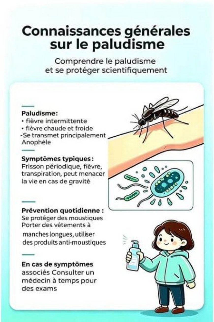 Paludisme : Que savez-vous des méthodes de dépistage et des mesures de prévention ?
