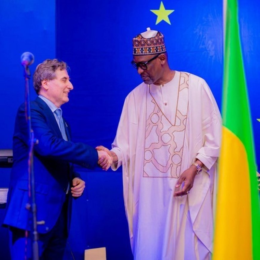 Célébration de la Fête de l’Europe au Mali : Le Mali et l’UE réaffirment leur amitié