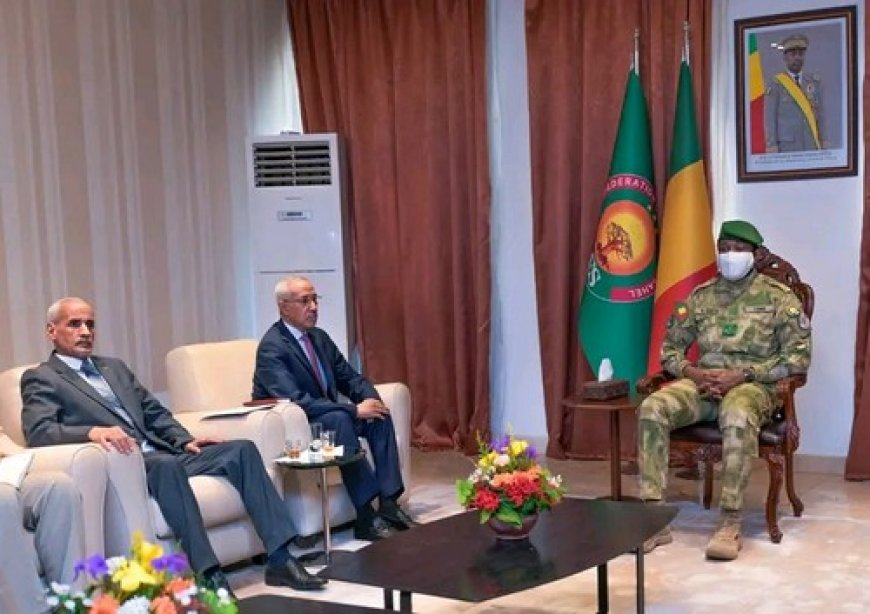 Sahel: la guerre des récits et l’illusion des frontières : Le ballet des émissaires: Nouakchott au chevet d'une cohésion brisée