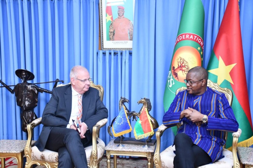Résolution du Parlement européen sur le Burkina Faso : Le gouvernement exprime «son dégoût »