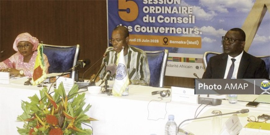 Financement du développement : Les belles performances du fonds de solidarité africain