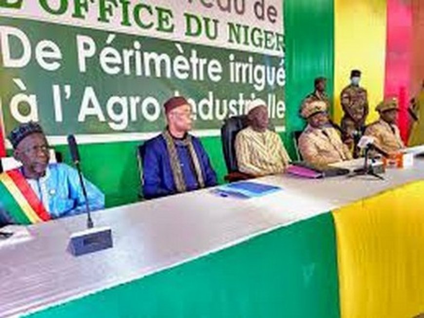 Ségou : la campagne agricole 2026-2027 lancée, près de 12 millions de tonnes de céréales attendues !