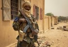 Les Forces armées maliennes et l’Africa Corps neutralisent environ 100 terroristes à Anéfis, Gao et Sévaré