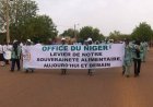 Systèmes alimentaires au Mali : L'Office du Niger ouvre ses périmètres irrigués à un nouveau projet : le PADSAD-M