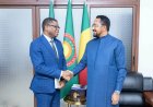 Forum de la diaspora 2026 : le ministre Mossa Ag Attaher et l’ambassadeur Madou Diallo misent sur la mise en œuvre des recommandations