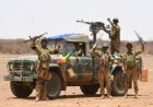 Focus : Le modèle malien