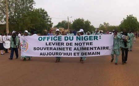 Systèmes alimentaires au Mali : L'Office du Niger ouvre ses périmètres irrigués à un nouveau projet : le PADSAD-M