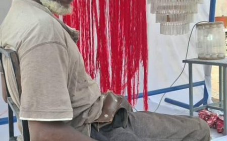 Seydou Diallo : L'artiste qui donne une seconde vie aux déchets plastiques