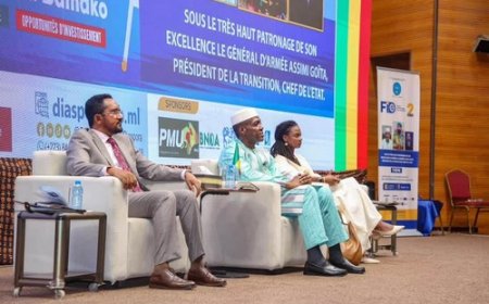 Forum International de la Diaspora 2026 : Mossa Ag Attaher présente DiasporaHub comme un levier stratégique pour le développement du Mali