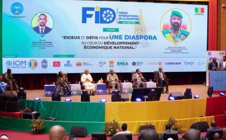 Forum international de la diaspora : La diaspora actionnée en levier de la souveraineté économique