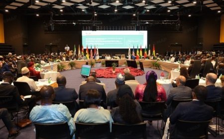 Freetown : Les pays de la CEDEAO adhèrent au Gazoduc Africain Atlantique Nigéria-Maroc initié par sa Majesté le Roi Mohamed VI …