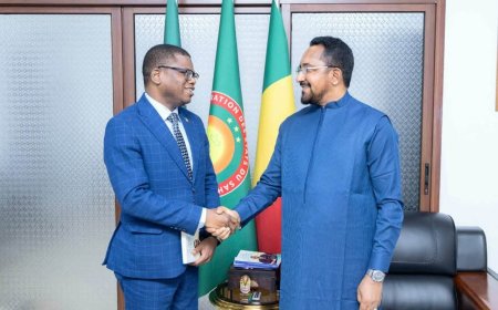 Forum de la diaspora 2026 : le ministre Mossa Ag Attaher et l’ambassadeur Madou Diallo misent sur la mise en œuvre des recommandations