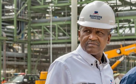 « L’empire Dangote » : comment s’organise l’autosuffisance panafricaine