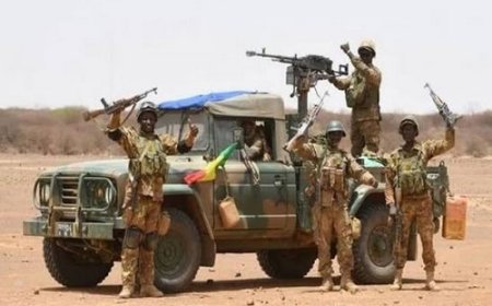 Focus : Le modèle malien