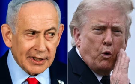 Netanyahu reçu par Trump pour aplanir les divergences