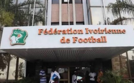 Éléphants : la FIF met fin à l'aventure d'Emerse Faé à la tête de la sélection nationale