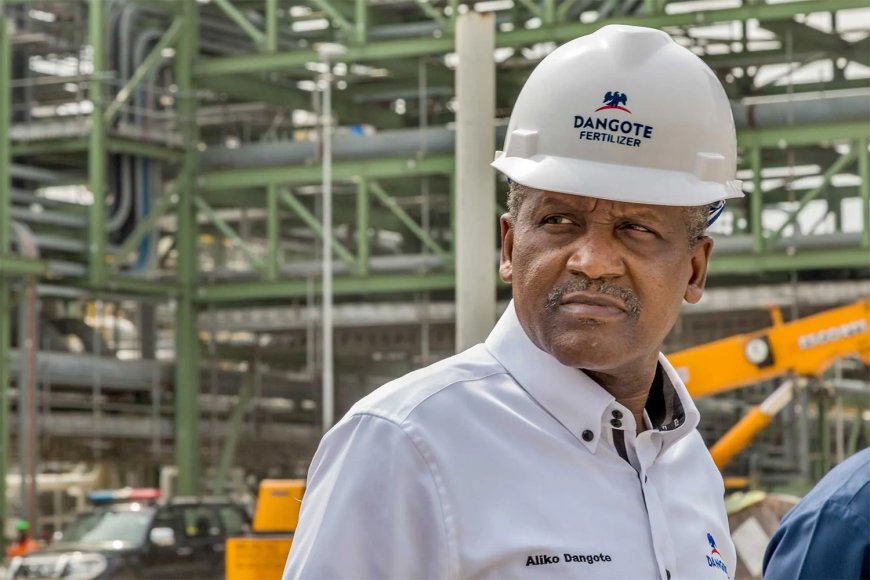 « L’empire Dangote » : comment s’organise l’autosuffisance panafricaine