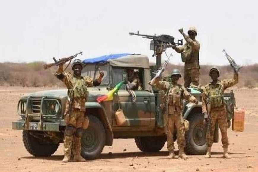 Focus : Le modèle malien