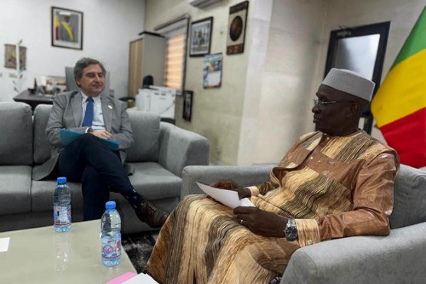 Ministère de l’Education Nationale : Alberto Cerezo reçu par le Ministre Amadou Sy Savané