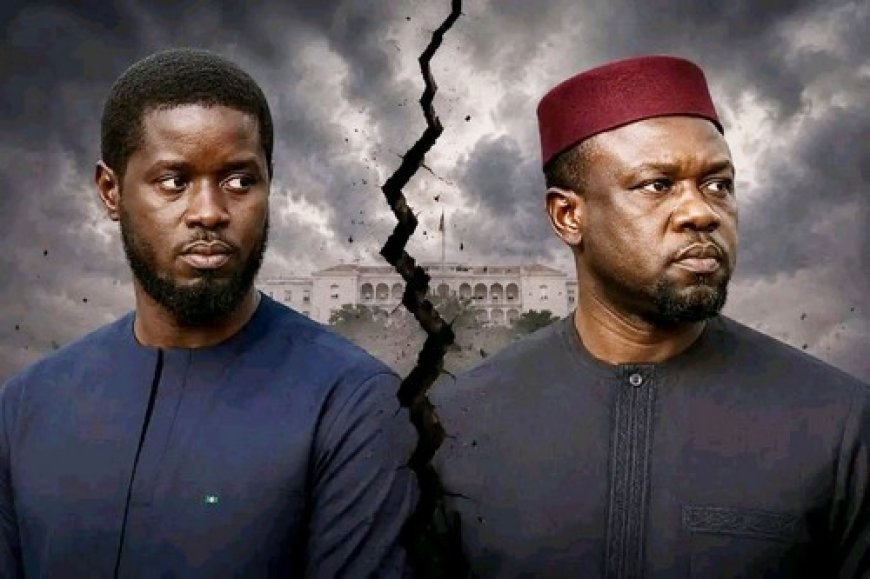 Controverse autour du projet de loi portant révision constitutionnelle au Sénégal :  Les dessous du forcing de Sonko Bassirou Diomaye Faye saisit le Conseil constitutionnel