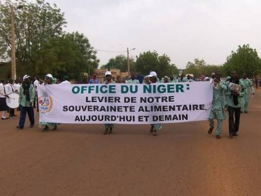 Systèmes alimentaires au Mali : L'Office du Niger ouvre ses périmètres irrigués à un nouveau projet : le PADSAD-M