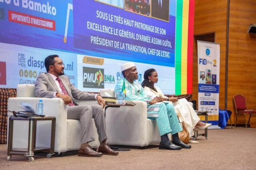 Forum International de la Diaspora 2026 : Mossa Ag Attaher présente DiasporaHub comme un levier stratégique pour le développement du Mali