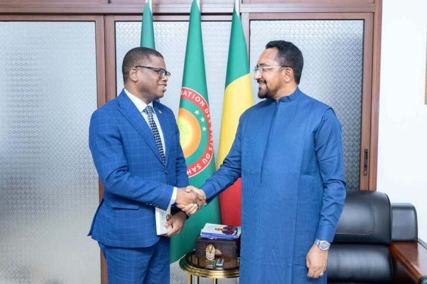 Forum de la diaspora 2026 : le ministre Mossa Ag Attaher et l’ambassadeur Madou Diallo misent sur la mise en œuvre des recommandations