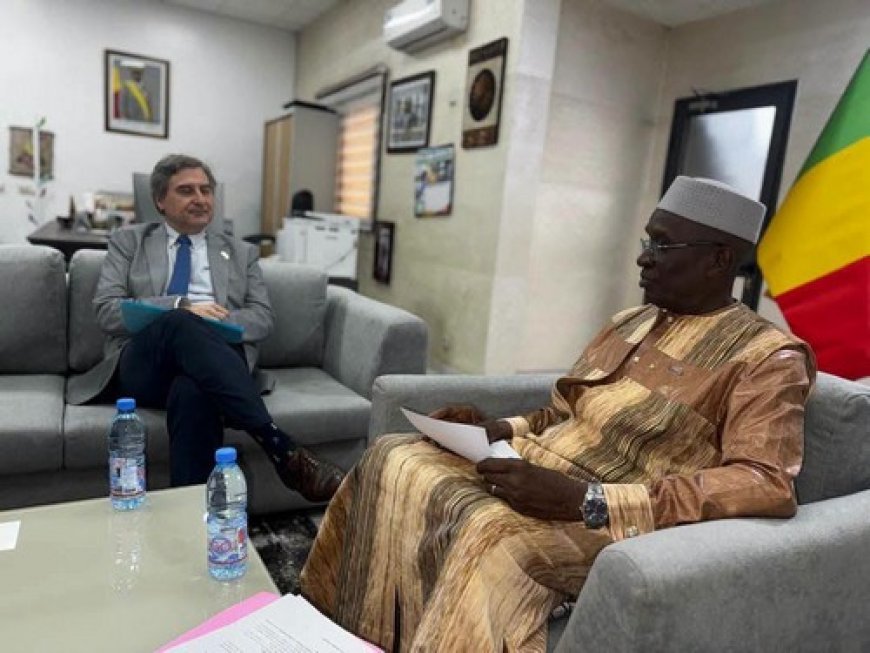 Ministère de l’Education Nationale : Alberto Cerezo reçu par le Ministre Amadou Sy Savané