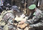 Niger : Le Chef de l’état Abdourahamane Tiani célèbre la Journée nationale de l’arbre dans la forêt classée de Kouroungousaou à Maradi