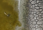 Sécheresse en France : près de 1 400 cours d’eau sans écoulement, un niveau record