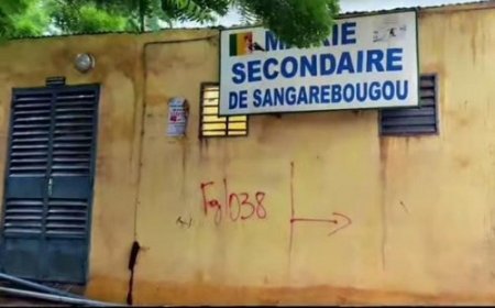 Sangarébougou : incompréhension face à une libération partielle des servitudes du marigot