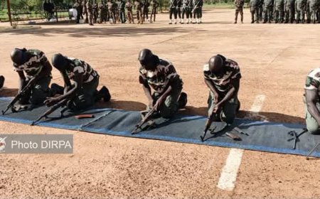 Réconciliation nationale : 254 ex-combattants du DDRI intègrent officiellement les FAMa