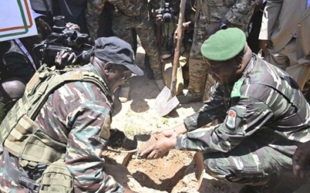 Niger : Le Chef de l’état Abdourahamane Tiani célèbre la Journée nationale de l’arbre dans la forêt classée de Kouroungousaou à Maradi