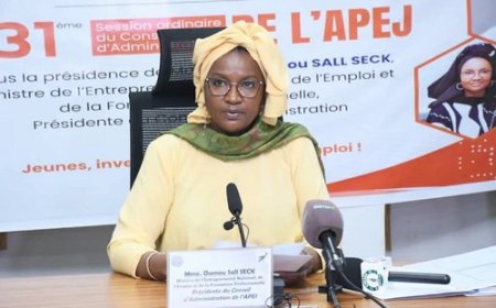 Agence pour la Promotion de l’Emploi des Jeunes : La gouvernance et la qualité des services à renforcer !