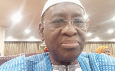 Sékouba Cissé : «Le Mali et l’Algérie sont appelés à développer les différents volets diplomatiques»