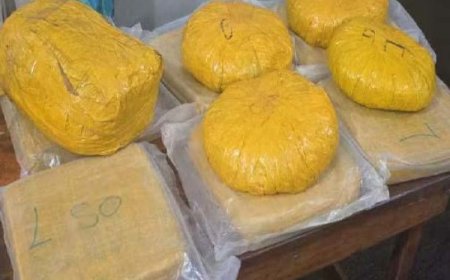 Torokorobougou : La police saisit trente briques de chanvre indien
