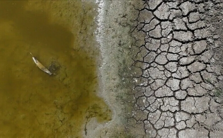 Sécheresse en France : près de 1 400 cours d’eau sans écoulement, un niveau record